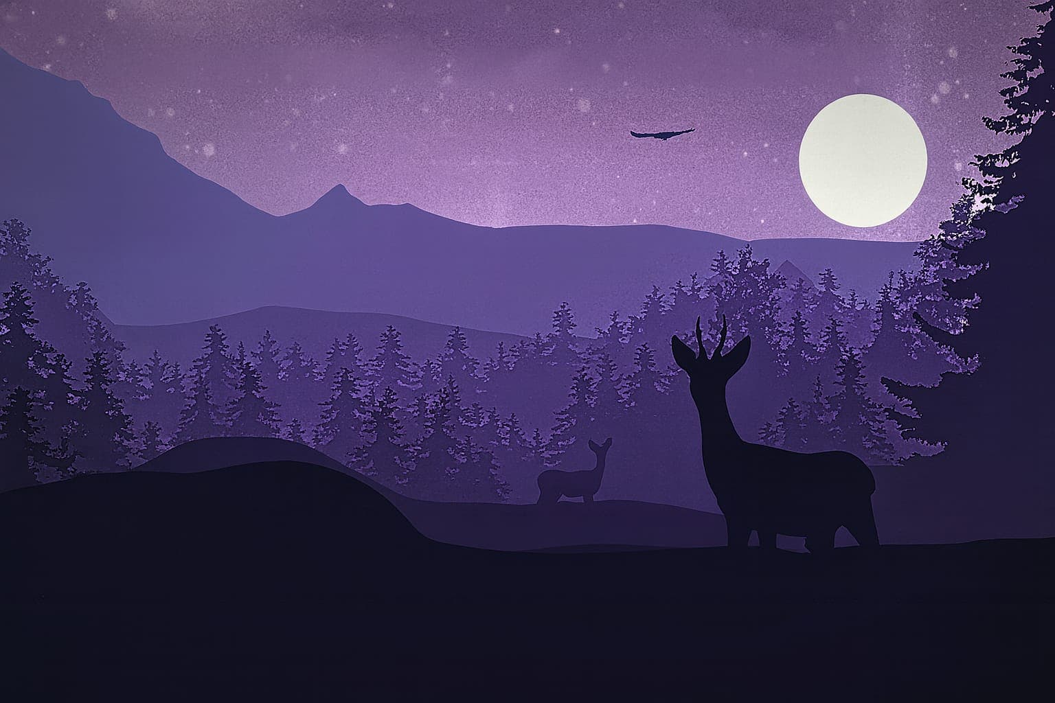 Paperworth Books Present Ochoche Agada’s Conversations With Midnight