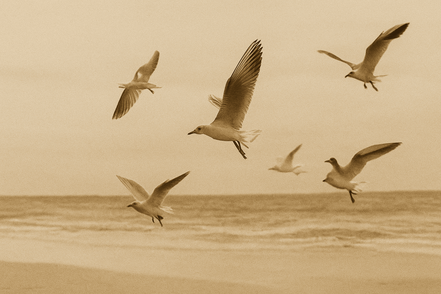 A First Look at Tobi Aluko’s Seagulls and Seashells