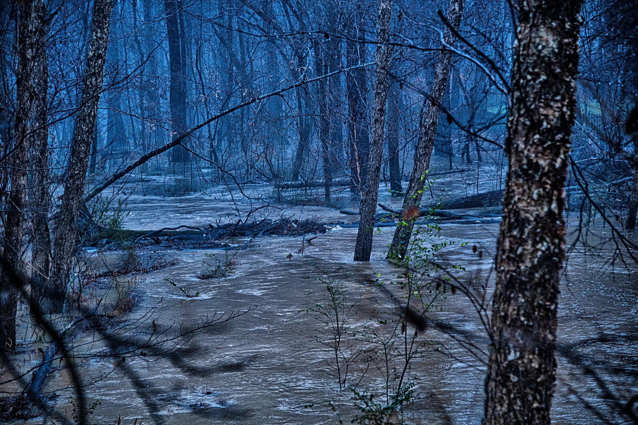 Trickles And Torrents